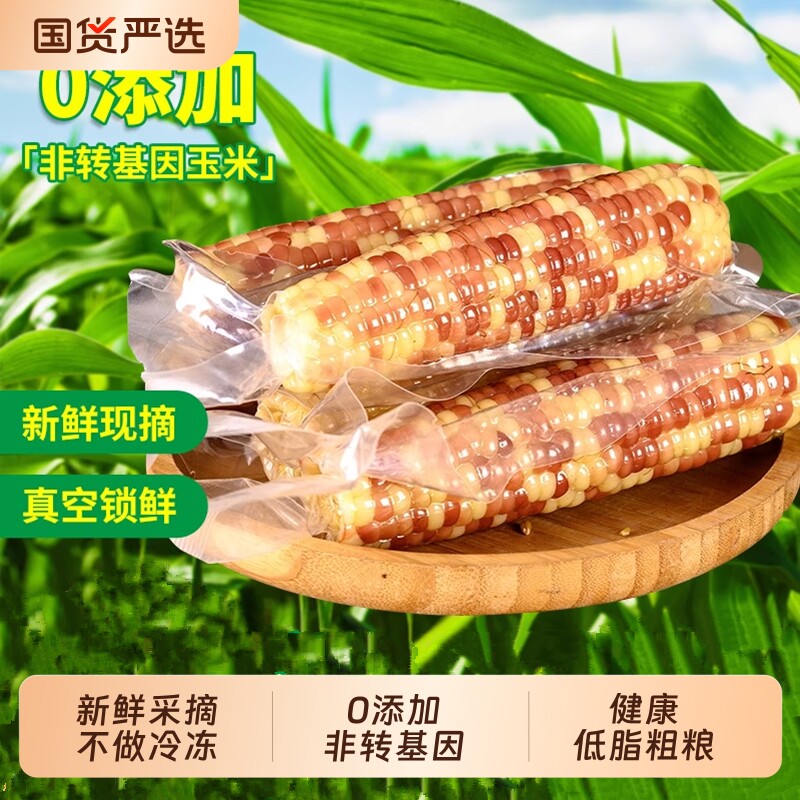 低脂云南西双版纳香糯小玉米粗粮早餐香糯玉米棒真空新鲜花糯包谷
