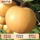 裕鲜生正宗山东烟台莱阳秋月梨新鲜水果冰糖雪梨子大果整箱10斤装