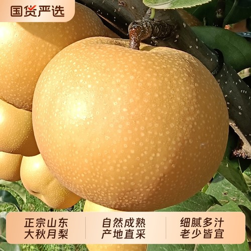 裕鲜生正宗山东烟台莱阳秋月梨