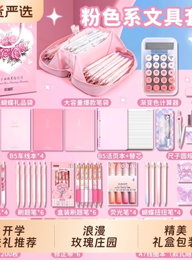 2025ins风笔袋新款女孩生日礼物儿童文具套装女生小学生大礼包学习用品伴手礼盒蓝色系紫色系豪华大容量粉色