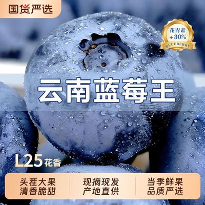 【爆款热卖】云南蓝莓王脆甜多汁
