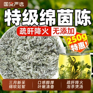 野生茵陈500g中药材五味子正品官方旗舰店新鲜白蒿三月绵茵陈泡水