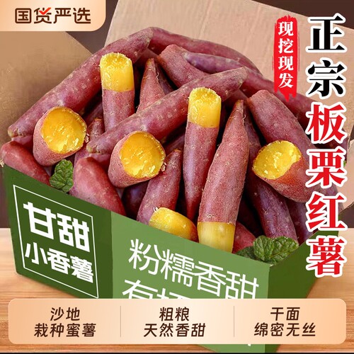 红薯新鲜沙地蜜薯板栗红薯