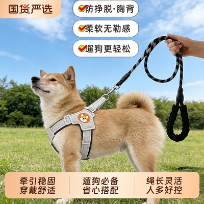 Y型防护胸背带狗狗牵引绳