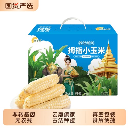每袋500克约8-12根香糯拇指玉米