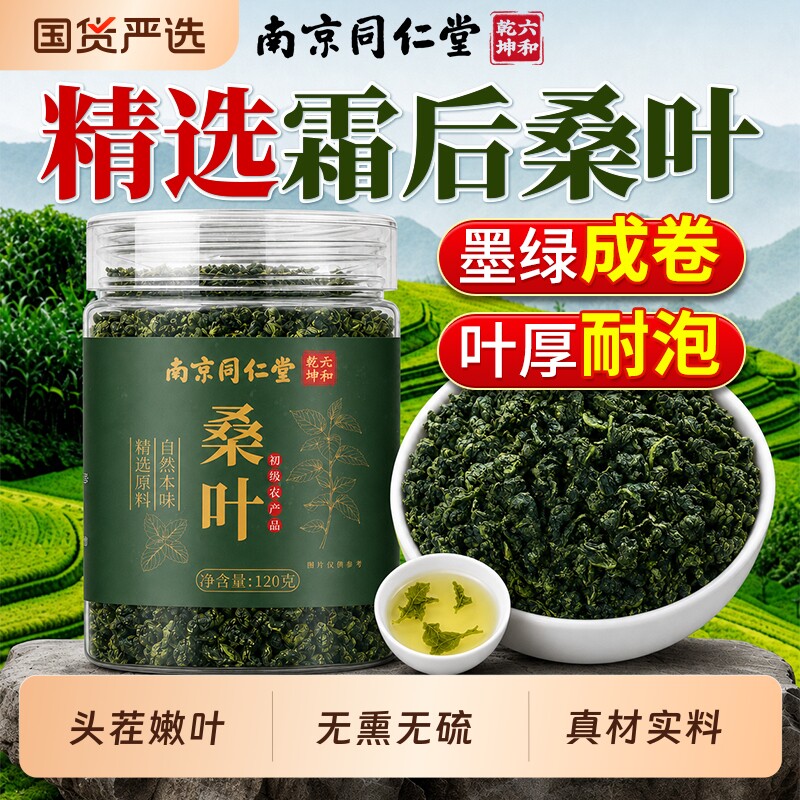 精选霜后鲜采桑叶泡水喝本草养生图片