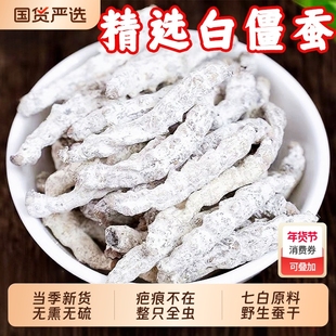 正品中药材白僵蚕僵虫干天虫全虫祛疤白僵蚕秦艽膏原料七白姜虫干