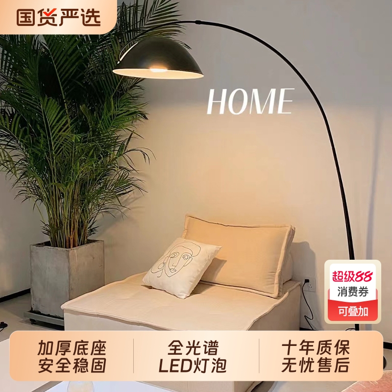 全光谱钓鱼灯落地灯客厅沙发旁设计感氛围灯轻奢智能卧室台灯护眼