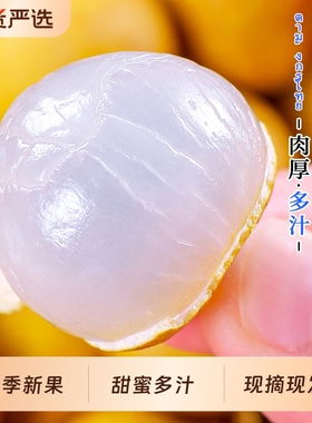 泰国龙眼桂圆新鲜进口鲜大果5斤应季现摘鲜甜水果整箱批发3包邮