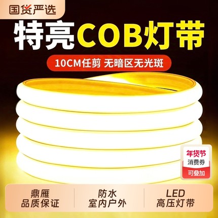鼎雁灯带led灯条220v客厅超亮吊顶户外防水气氛灯灯带条护眼自粘