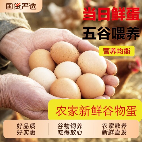 鸡蛋农家散养土鸡蛋正宗谷物饲养