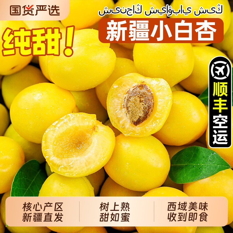新疆小白杏子新鲜水果库车轮台甜杏4斤当季小红杏吊干油香杏包邮