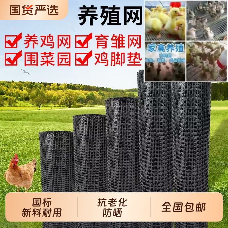 塑料围网养殖防护拦鸡鸭胶网图片