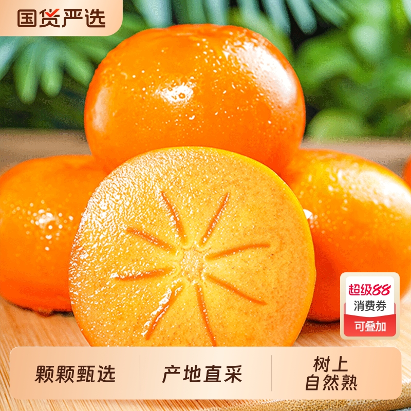 巧克力脆柿子水果新鲜当季柿子应季一整箱包邮冰糖心黄甜脆硬柿子