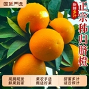 水果手剥果冻甜橙 包邮 湖北三峡脐橙秭归橙子现摘大果新鲜当季 好果