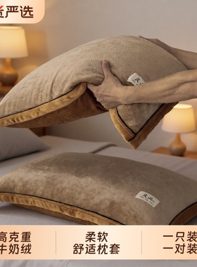 牛奶绒枕套一对装珊瑚绒枕巾枕头套秋冬48cm74cm枕芯套内胆套单个