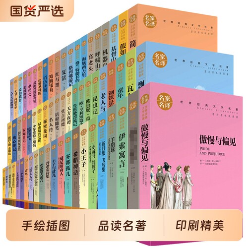 名家名译世界名著全套书籍经典文学10-12-15周岁课外书读物巴黎圣母院简爱小王子青少年版初中生小说畅销书排行榜原著钢铁游记短篇