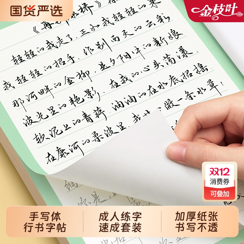 行书练字帖行楷字帖成人速成套装
