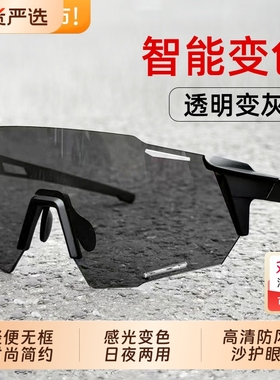 骑行眼镜变色日夜两用防风护目镜防紫外线运动夜视飞行员感光高清