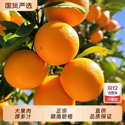 江西赣南脐橙10斤 应当季时令手剥冰糖甜橙子新鲜水果带箱 20斤装