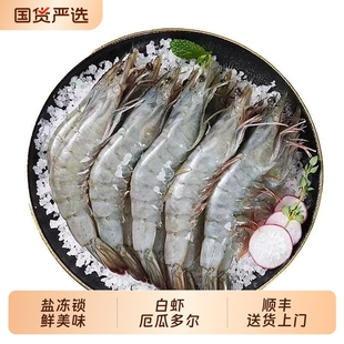 鲜活冷冻白虾海捕青岛大虾3斤