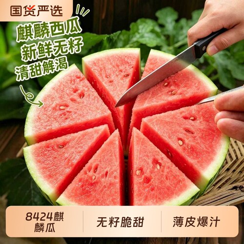 【顺丰次日达】正宗小糖丸西瓜