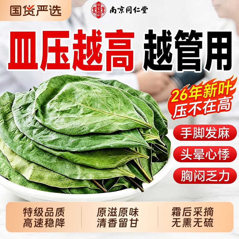 南京同仁堂特级柿子叶茶干中药材降野生血霜后无硫压茶官方旗舰店