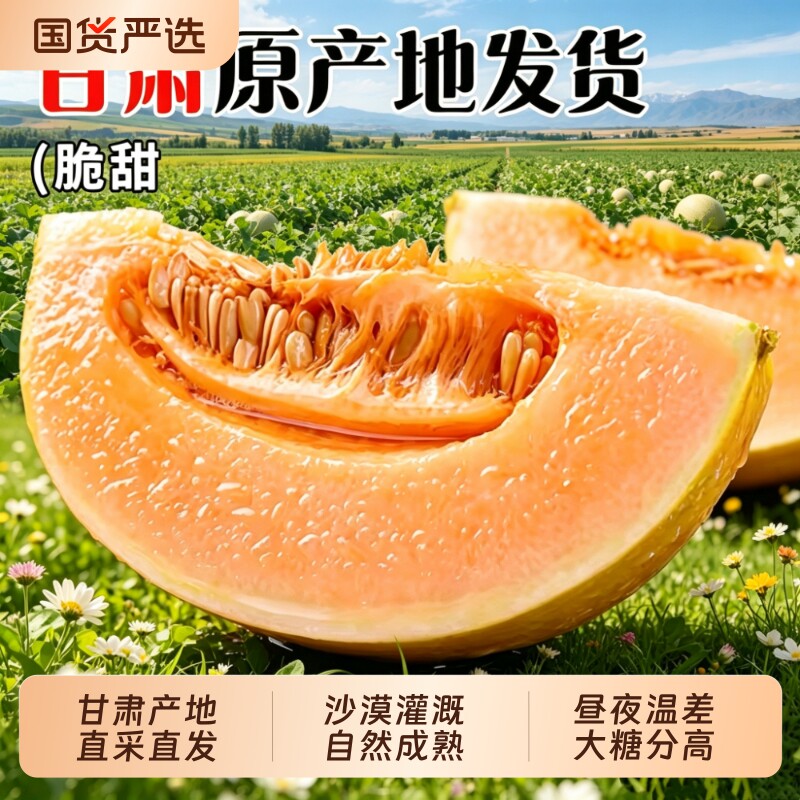 产地直发甘肃民勤蜜瓜甜瓜哈密瓜