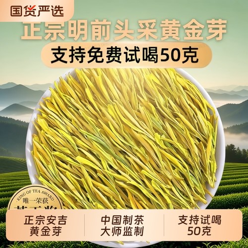2025新茶黄金芽茶叶特级安吉奶白茶明前绿茶春茶散装礼盒装