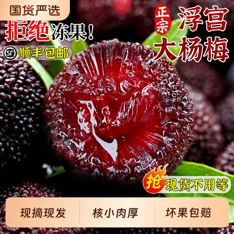 顺丰包邮 正宗浮宫大杨梅5斤装新鲜现摘现发当季东仙魁居孕妇水果