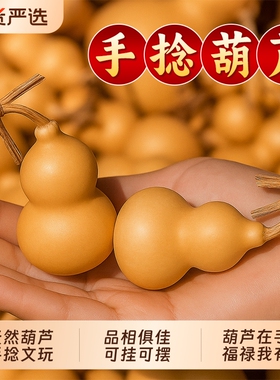 天然小葫芦文玩带龙头胖墩手捻把玩精品野生胡芦挂件迷你家居摆件