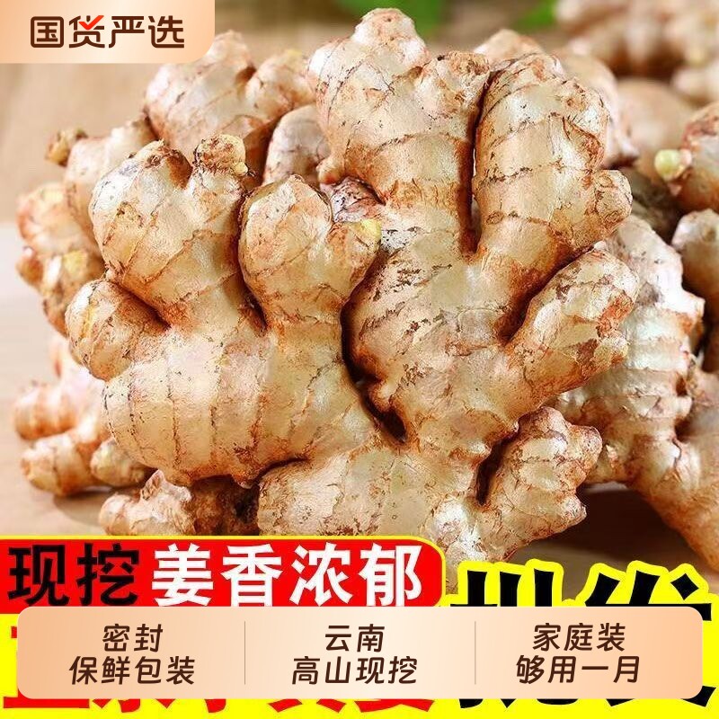云南正宗小黄姜今年老姜新鲜生姜高山沙姜土姜蔬菜农家自种食用
