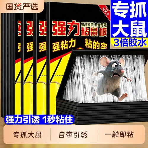 老鼠粘强力粘鼠板老鼠贴超强家用大老鼠驱鼠扑捉器驱赶神器捕鼠