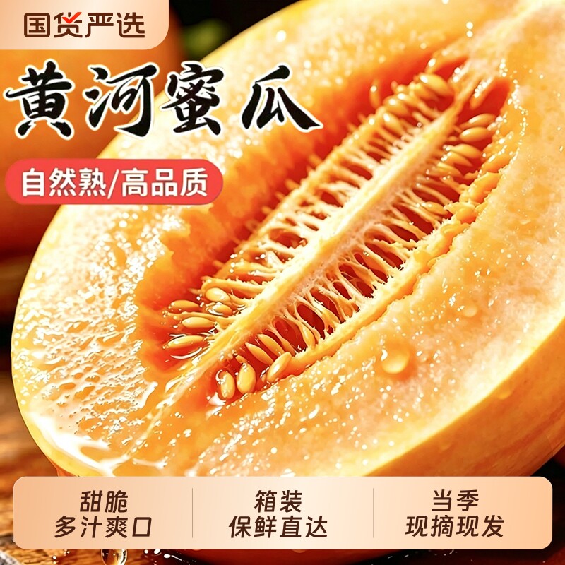正宗黄河蜜瓜甜瓜新鲜水果应当季整箱包邮黄金脆香瓜哈密甘肃民勤
