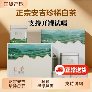 新茶正宗安吉白茶特级雨前高山珍稀白茶散装茶叶礼盒装
