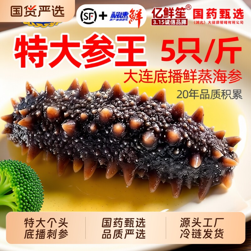 大连海参即食刺参鲜活非淡干辽参500g特价冷冻年货新鲜水产源头