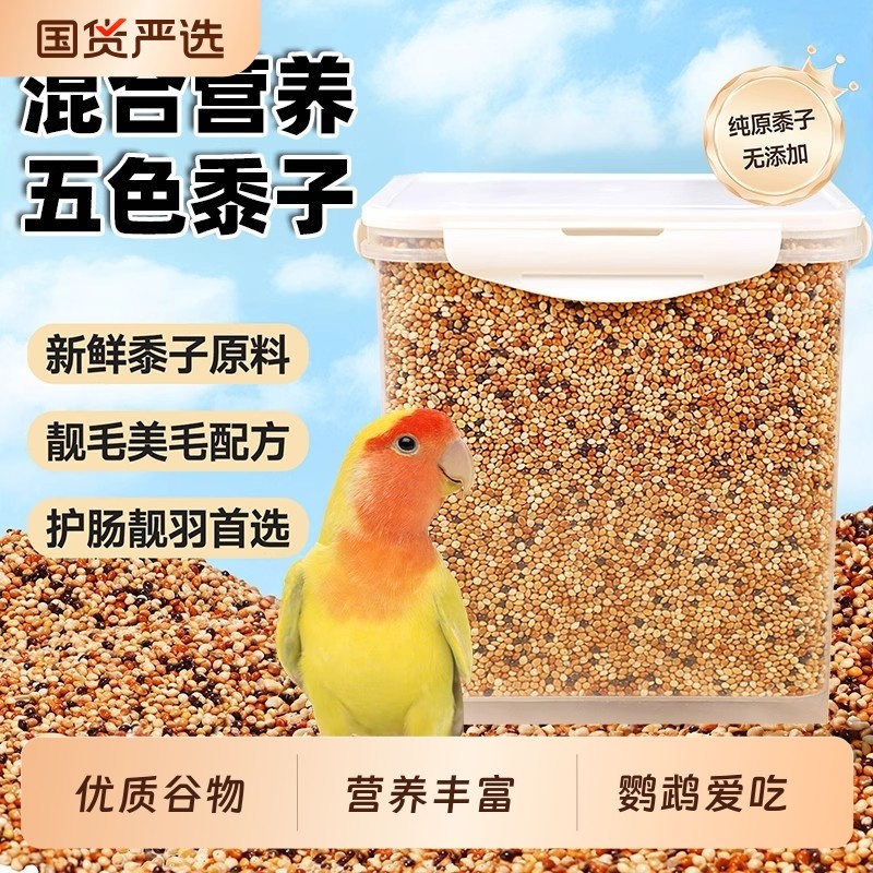 鹦鹉混合黍子鸟食虎皮鹦鹉饲料玄凤谷子牡丹粮食文鸟黄谷子鸟粮食