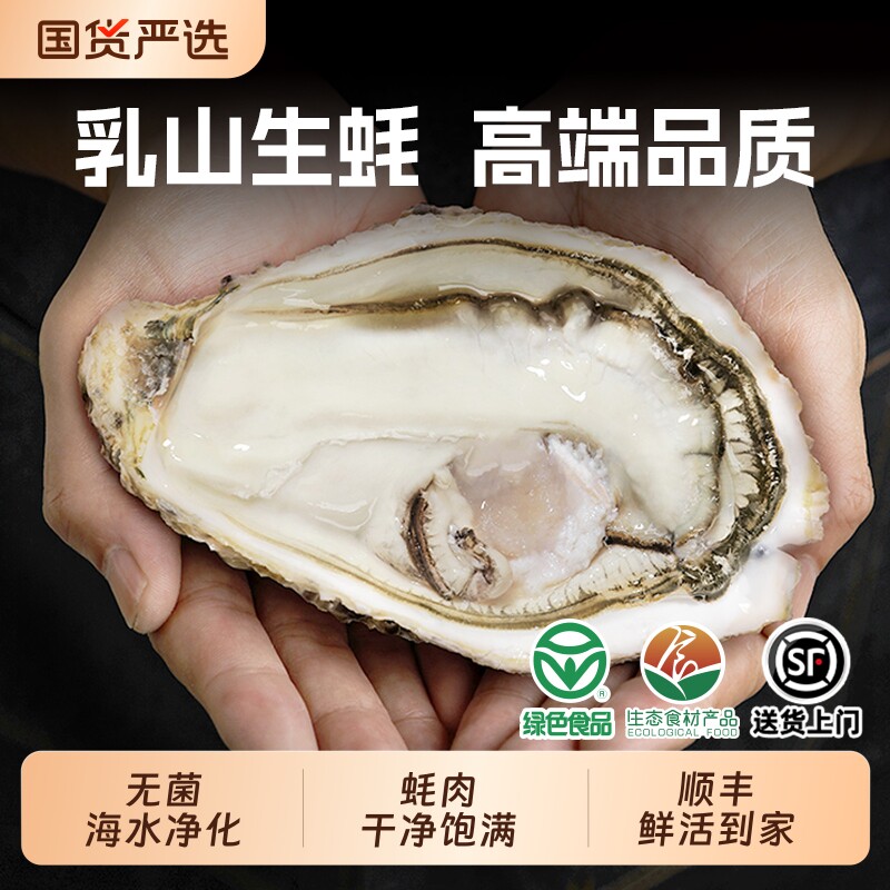 贝司令乳山鲜活生蚝海蛎子新鲜大牡蛎肉高端品质绿色食品海鲜批发