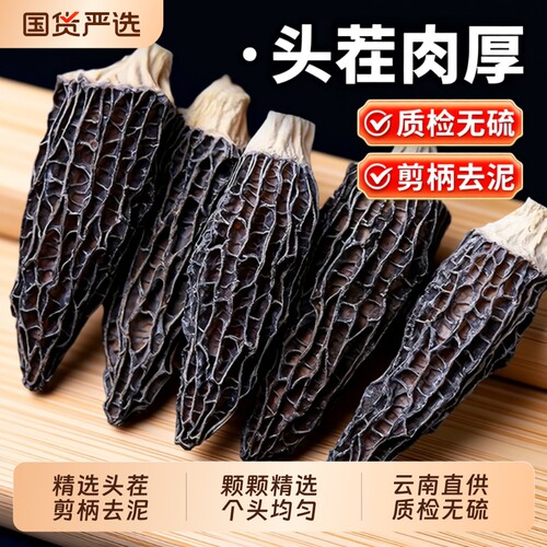 羊肚菌头茬8-12cm特级|千人加购