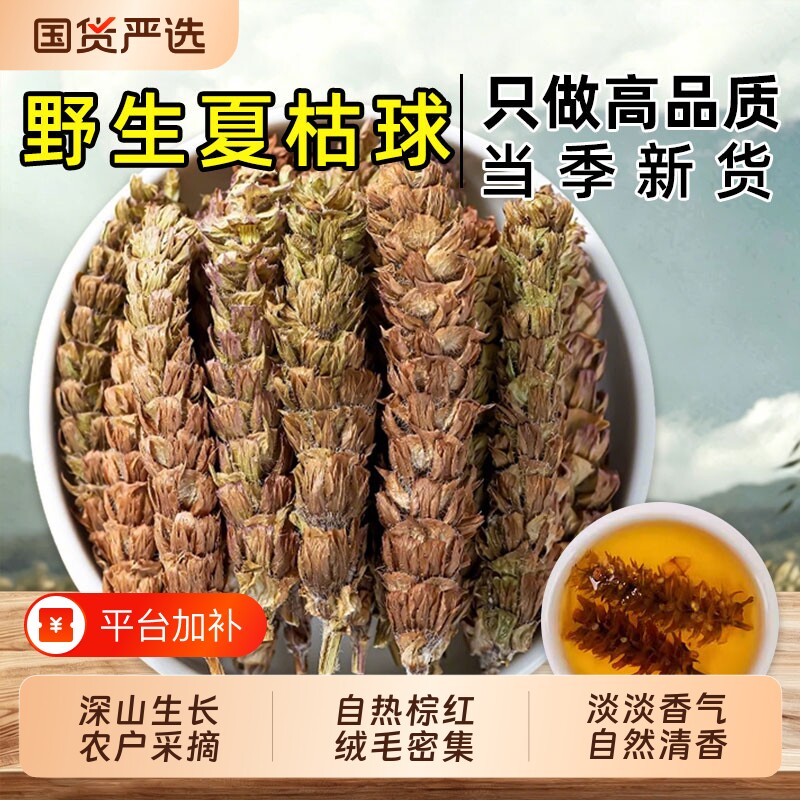野生夏枯草中药材新鲜干货大别山白毛夏枯草夏枯球搭蒲公英泡茶水
