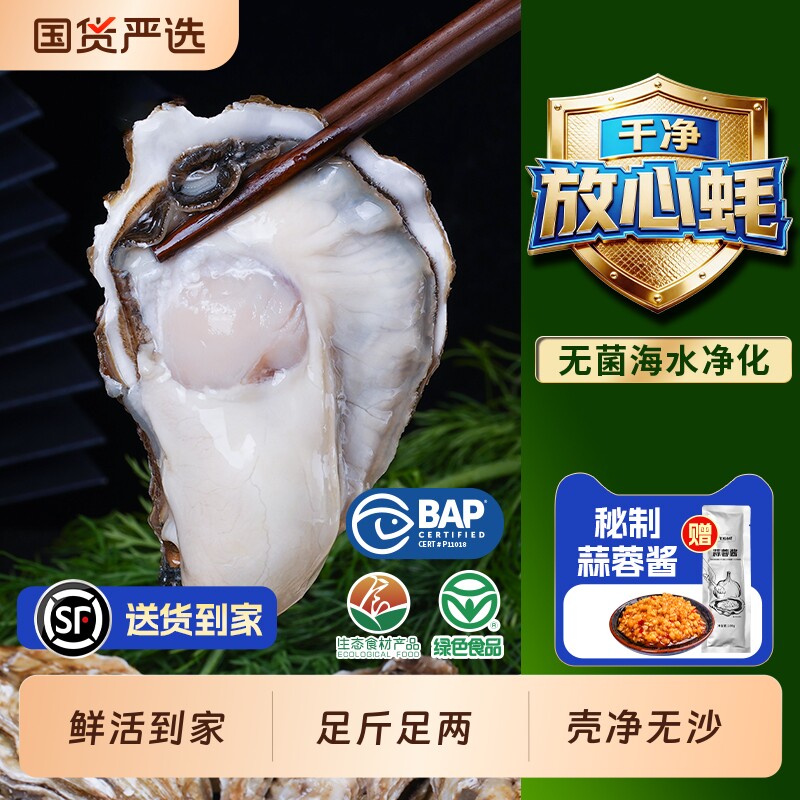 贝司令乳山鲜活生蚝净重5斤高端品质蚝王海蛎子牡蛎海鲜批发商用
