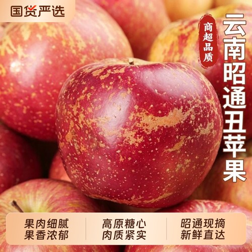 云南昭通丑苹果正宗冰糖心