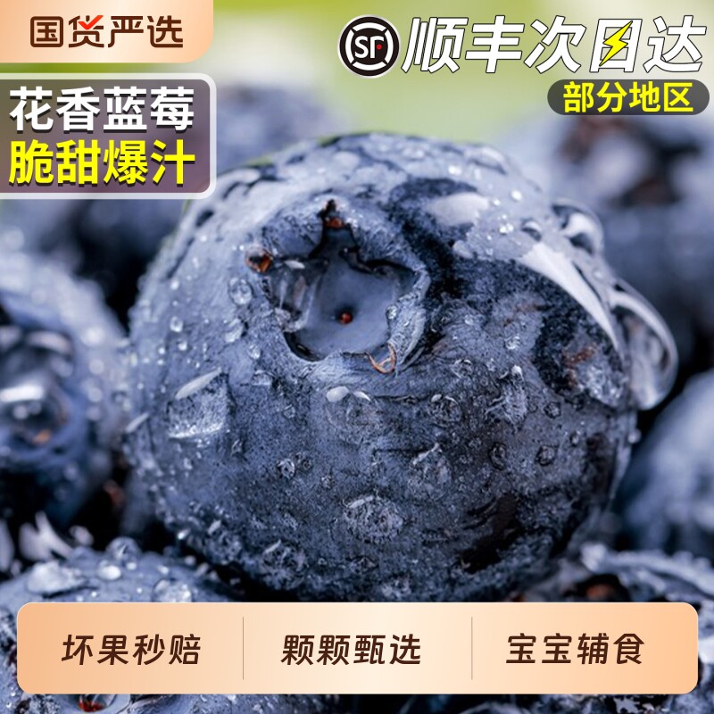 顺丰云南蓝莓新鲜水果蓝莓王现摘花香当季怡颗鲜果整箱礼盒包邮甜