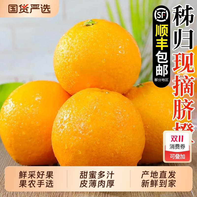 秭归纽荷尔脐橙孕妇水果顺丰包邮