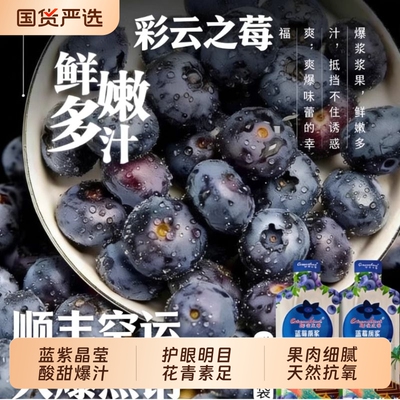 云南蓝莓新鲜水果当季蓝梅鲜果现摘L25花香高山孕妇整箱顺丰包邮