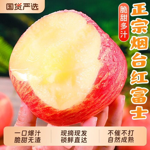 正宗山东烟台红富士苹果现摘包邮