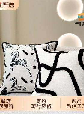靠兜沙发靠垫轻奢ins靠枕黑白斑马客厅床头飘窗枕套可拆洗方形