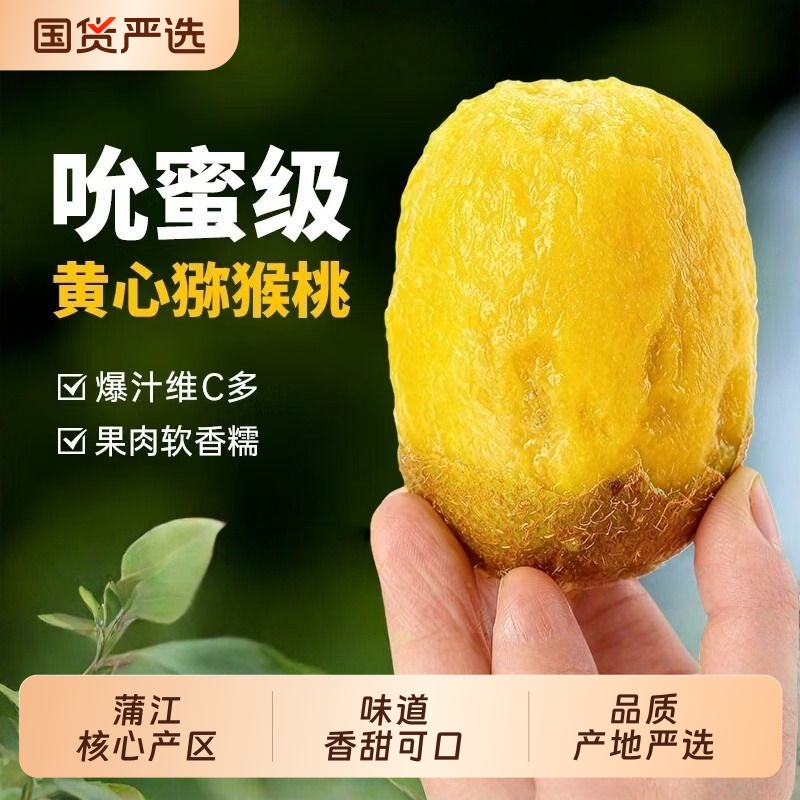 四川黄心猕猴桃大果|340人收藏