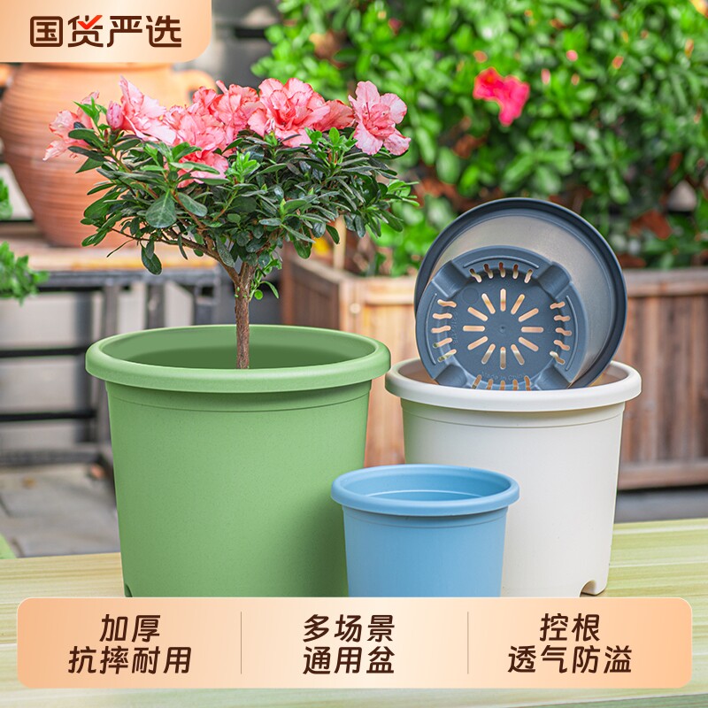 四季塑料花盆加厚绣球控根透气加仑盆栽月季托盘落地绿植花卉植物图片