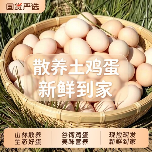 农家散养谷物土鸡蛋初生蛋